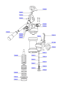 Pavoni - Lever group head