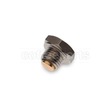 Boiler anti vacuum valve with 1/4 inch bsp thread