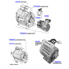 Faema - Motors and rotary pumps