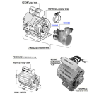 Rancilio - Motors and rotary pumps