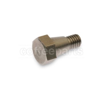 Screw