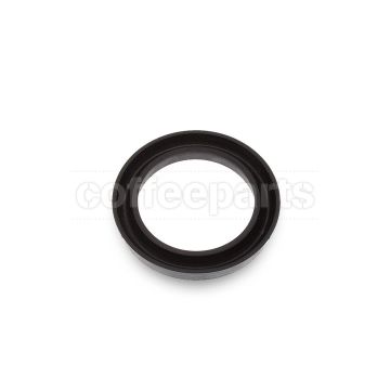 Piston v-gasket