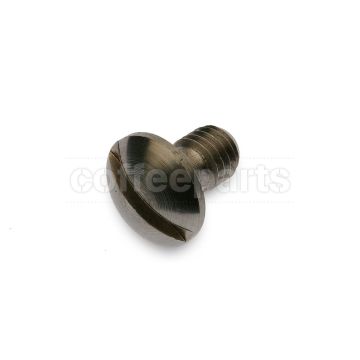Screw