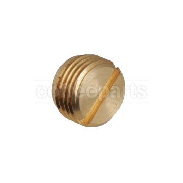 Cap For Steam Wand 