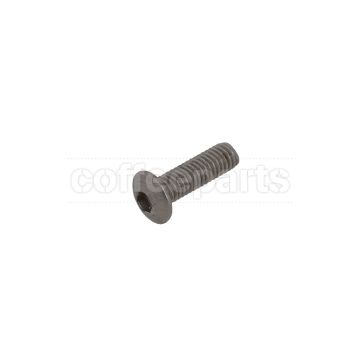 Screw