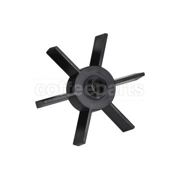 Rocky Lower Star