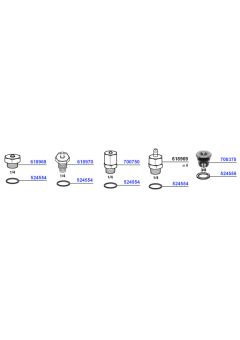 Anti-Vacuum Valves