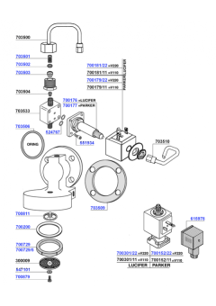 Aurora - Group head and solenoids