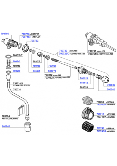 Leone - Steam and hot water valves
