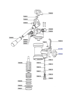 Pavoni - Lever group head