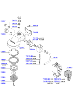 Pavoni - Group head solenoid operated