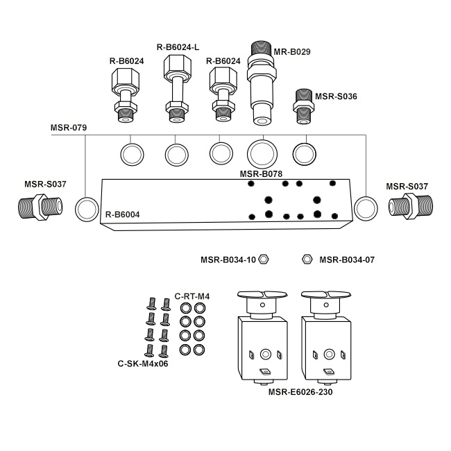 Kees Spirit T Manifold