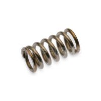 Gas Regulator Spring Ø 11×7.9×20mm