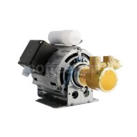 RPM Motor with Nuert Clamp Ring Pump 100lt V220-50/60Hz 165W Capacitor 10mf