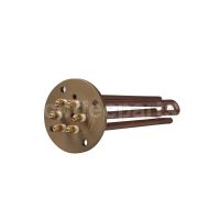 Heating Element GR/1 V230/400 2700W 6-Pole 220mm with Probeholder