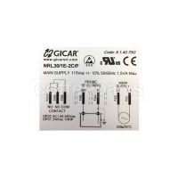 Level Regulator Gicar RL30/1E-2C/F 110V (9.1.40.70G)
