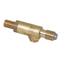 Water/Steam Valve Assembly