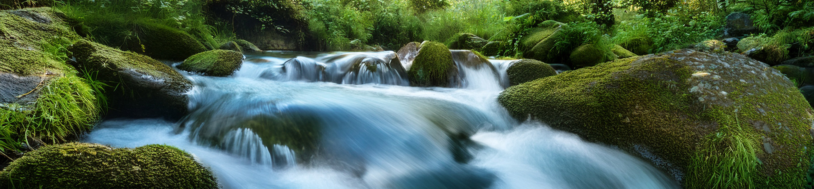 Pentair Everpure water filters