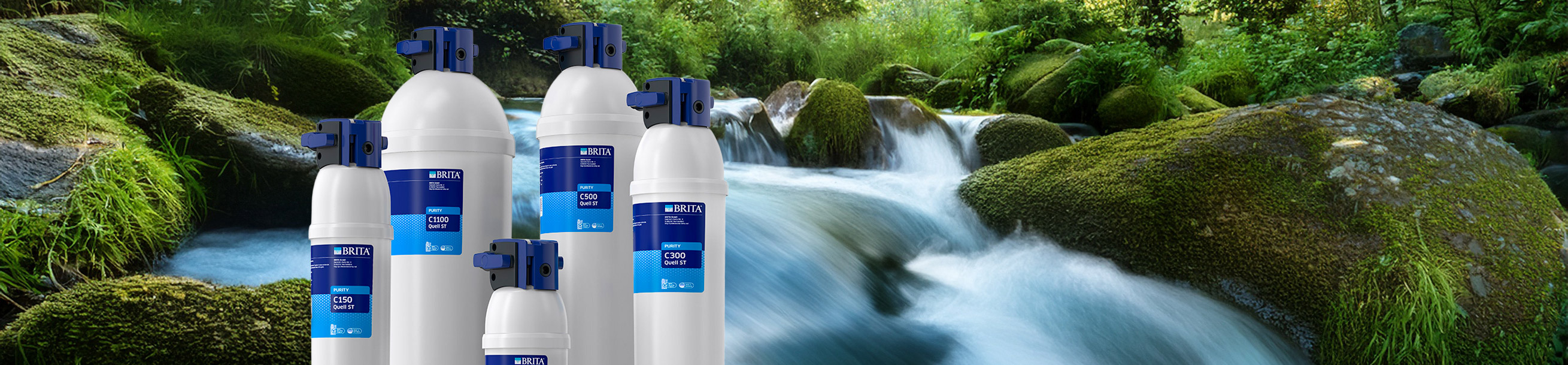Pentair Everpure water filters